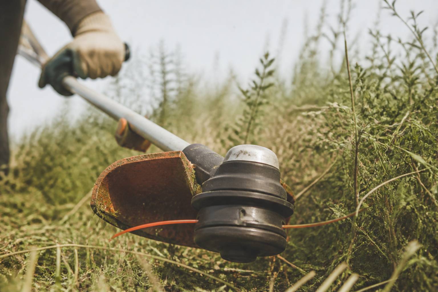 Tête de coupe d'une débroussailleuse avec fil et carter dans les herbes